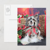 Kerstmis - Chinese Kuif - Sheeba Feestdagenkaart (Voorkant / Achterkant)