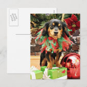 Kerstmis - Chiweenie - Titus Feestdagenkaart (Voorkant / Achterkant)