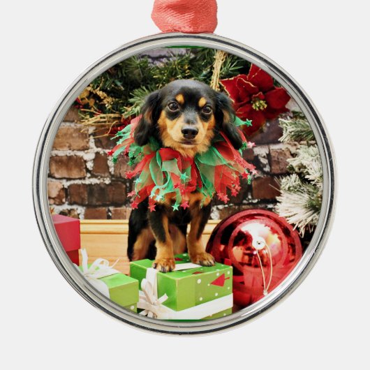 Kerstmis - Chiweenie - Titus Metalen Ornament (Voorkant)