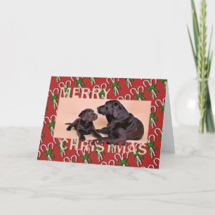 Kerstmis - chocolade-labradors feestdagen kaart