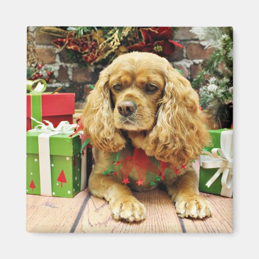 Kerstmis - Cockalier - Suzy Magneet (Voorkant)