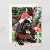 Kerstmis - Cockapoo - Jack Feestdagenkaart (Voorkant / Achterkant)