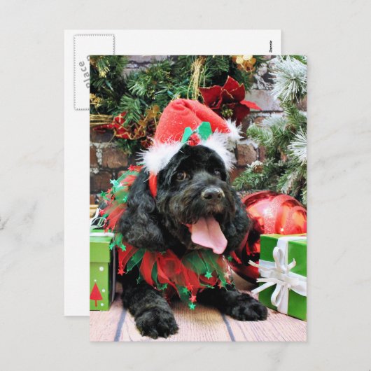 Kerstmis - Cockapoo - Jack Feestdagenkaart (Voorkant / Achterkant)