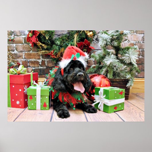 Kerstmis - Cockapoo - Jack Poster (Voorkant)