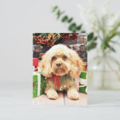 Kerstmis - Cockapoo - Morgan Feestdagenkaart (Staand voorkant)
