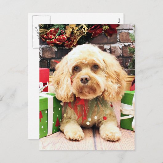 Kerstmis - Cockapoo - Morgan Feestdagenkaart (Voorkant / Achterkant)