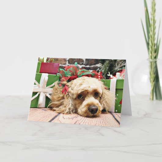 Kerstmis - Cockapoo - Robijn Feestdagen Kaart (Voorkant)
