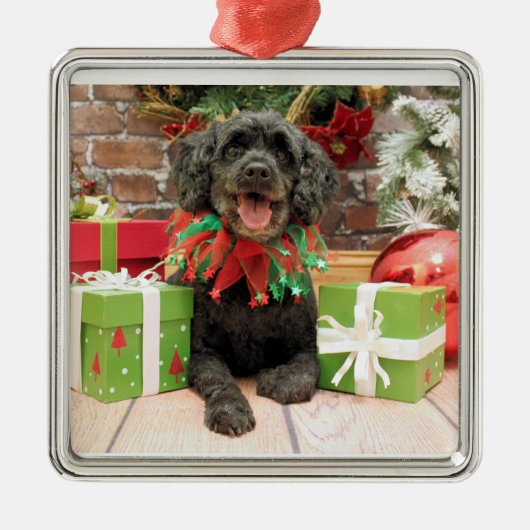 Kerstmis - Cockapoo - Trumbo Metalen Ornament (Voorkant)