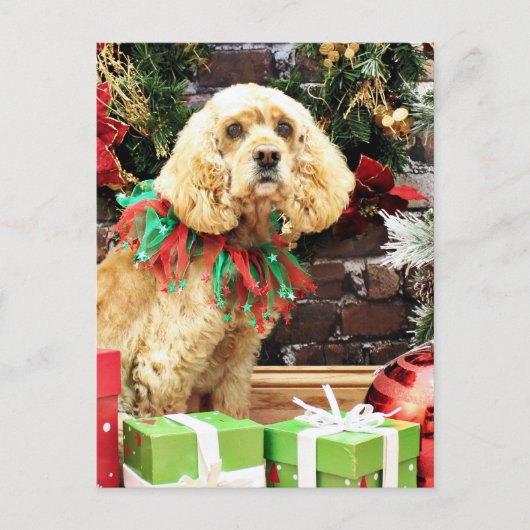 Kerstmis - Cocker Spaniel - Maggie Feestdagenkaart (Voorkant)