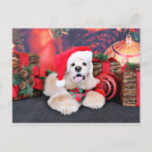Kerstmis - Cocker Spaniel - Tobey Feestdagenkaart (Voorkant)
