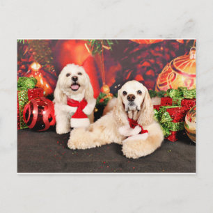 Kerstmis - Cocker - Toby, Havanees - Little T Feestdagenkaart