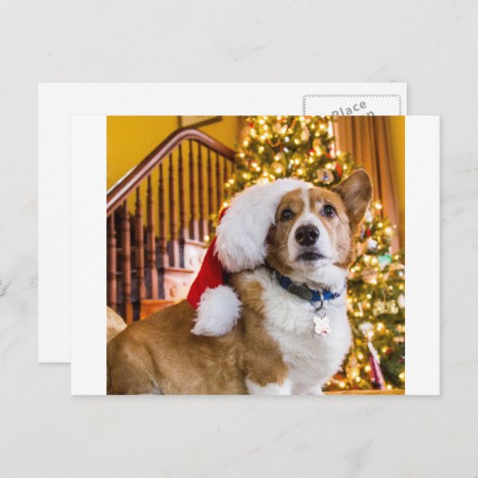 Kerstmis Corgi Feestdagenkaart (Voorkant / Achterkant)