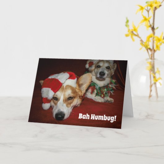 Kerstmis Corgi kaart (Gele Bloem)