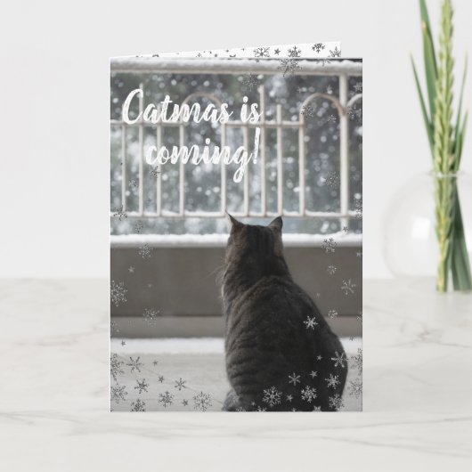 Kerstmis Cute Cat op de Sneeuwfeestkaart Feestdagen Kaart (Voorkant)