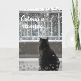 Kerstmis Cute Cat op de Sneeuwfeestkaart Feestdagen Kaart