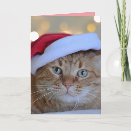 KERSTMIS CUTE GINGER KAT KAART (Voorkant)