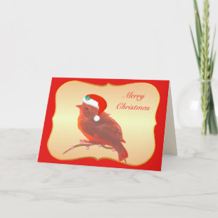 Kerstmis cute kleine vogel kaart