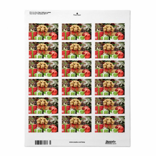 Kerstmis - Dachshund - Bo Etiket (Full Sheet)