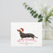 Kerstmis - Dachshund Gold - Seizoensgebonden groet (Staand voorkant)
