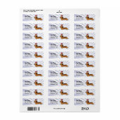 Kerstmis Dachshund (longhaar) Etiket (Full Sheet)