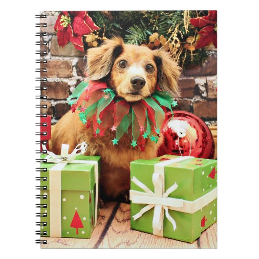 Kerstmis - Dachsund - Heidi Notitieboek (Voorkant)