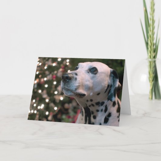 Kerstmis Dalmatian Feestdagen Kaart (Voorkant)