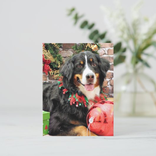 Kerstmis - de Hond van de Berg Bernese - Chloe Feestdagenkaart (Staand voorkant)