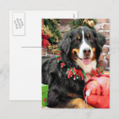 Kerstmis - de Hond van de Berg Bernese - Chloe Feestdagenkaart (Voorkant / Achterkant)