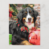 Kerstmis - de Hond van de Berg Bernese - Chloe Feestdagenkaart (Voorkant)