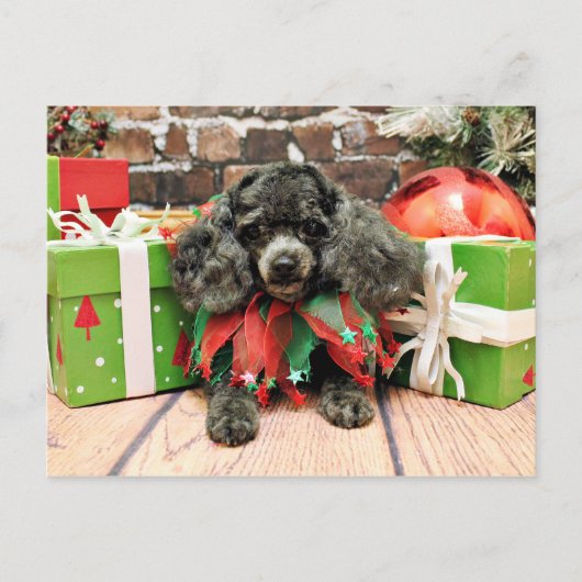 Kerstmis - de Poedel van het Speelgoed - Annie Feestdagenkaart (Voorkant)