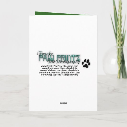 Kerstmis - Deck the Halls - Collie - Natalie Feestdagen Kaart (Achterkant)