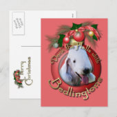 Kerstmis - Dek de Zalen - Bedlingtons Feestdagenkaart (Voorkant / Achterkant)