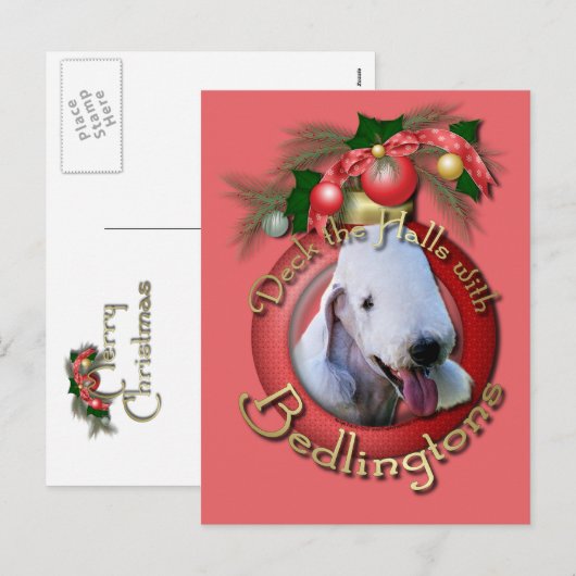 Kerstmis - Dek de Zalen - Bedlingtons Feestdagenkaart (Voorkant / Achterkant)