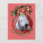 Kerstmis - Dek de Zalen - Bedlingtons Feestdagenkaart (Voorkant)
