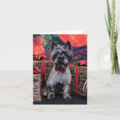 Kerstmis - Dexter - Caïro Feestdagen Kaart (Voorkant)