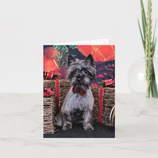 Kerstmis - Dexter - Caïro Feestdagen Kaart (Voorkant)