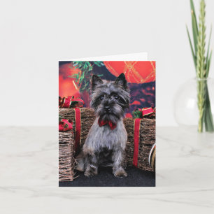 Kerstmis - Dexter - Caïro Feestdagen Kaart