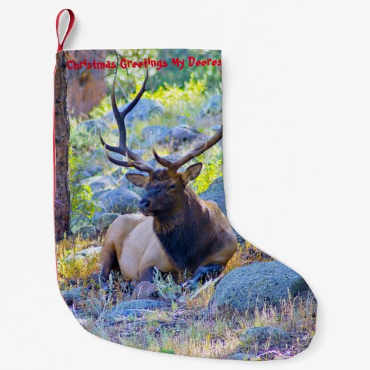 Kerstmis die mijn oude deerest tegenhoudt kleine kerstsok (Voorkant)