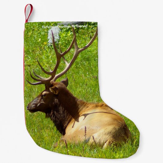 Kerstmis die mijn oude deerest tegenhoudt kleine kerstsok (Voorkant)