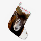 Kerstmis die mijn zoontje-vriend heeft gestolen kleine kerstsok (Voorkant (Hangend))