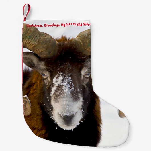 Kerstmis die mijn zoontje-vriend heeft gestolen kleine kerstsok (Voorkant)