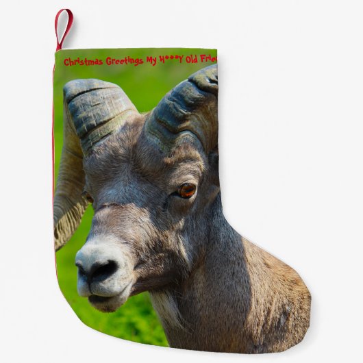 Kerstmis die mijn zoontje-vriend heeft gestolen kleine kerstsok (Voorkant)