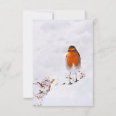 Kerstmis en Hygge nodigen een schattige rover uit  Kaart (Achterkant)