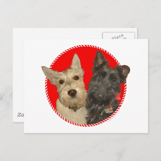 Kerstmis en zwarte Scotties Feestdagenkaart (Voorkant / Achterkant)