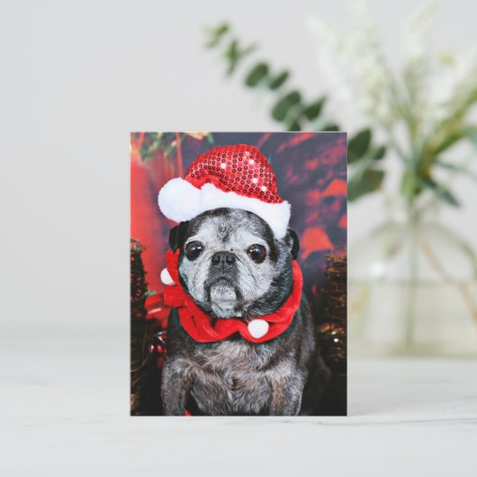 Kerstmis - Engel - Pug Feestdagenkaart (Staand voorkant)