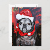 Kerstmis - Engel - Pug Feestdagenkaart (Voorkant / Achterkant)