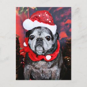 Kerstmis - Engel - Pug Feestdagenkaart