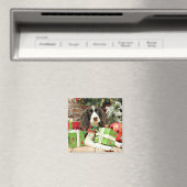 Kerstmis - Engels Springer Spaniel - Kinzie Magneet (Insitu (Vaatwasser))