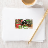 Kerstmis - English Springer Spaniel - Lucy Etiket (Insitu)