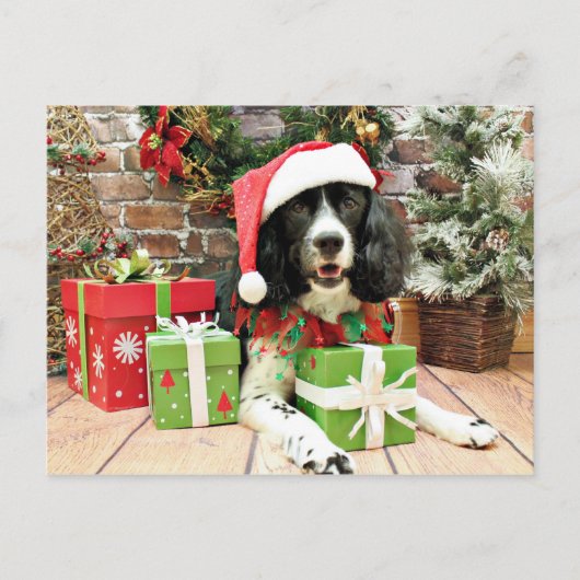 Kerstmis - English Springer Spaniel - Lucy Feestdagenkaart (Voorkant)